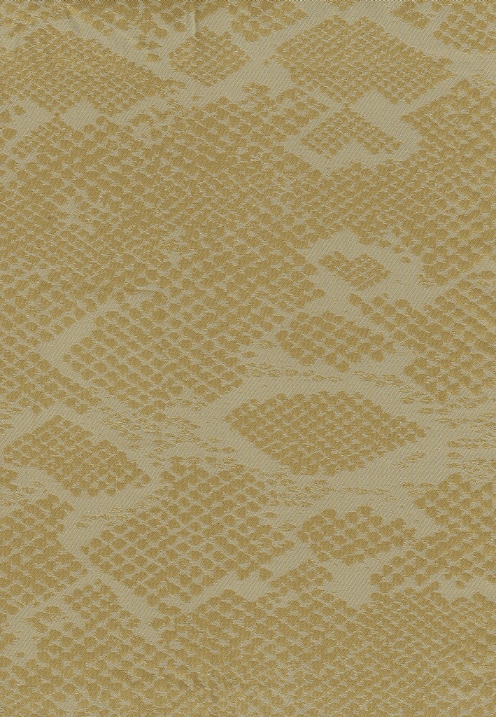 Deriv Coefficient C/41